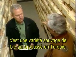 Svalbard Le coffre-fort de l'apocalypse