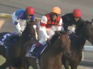2005 ジャパンカップ アルカセット