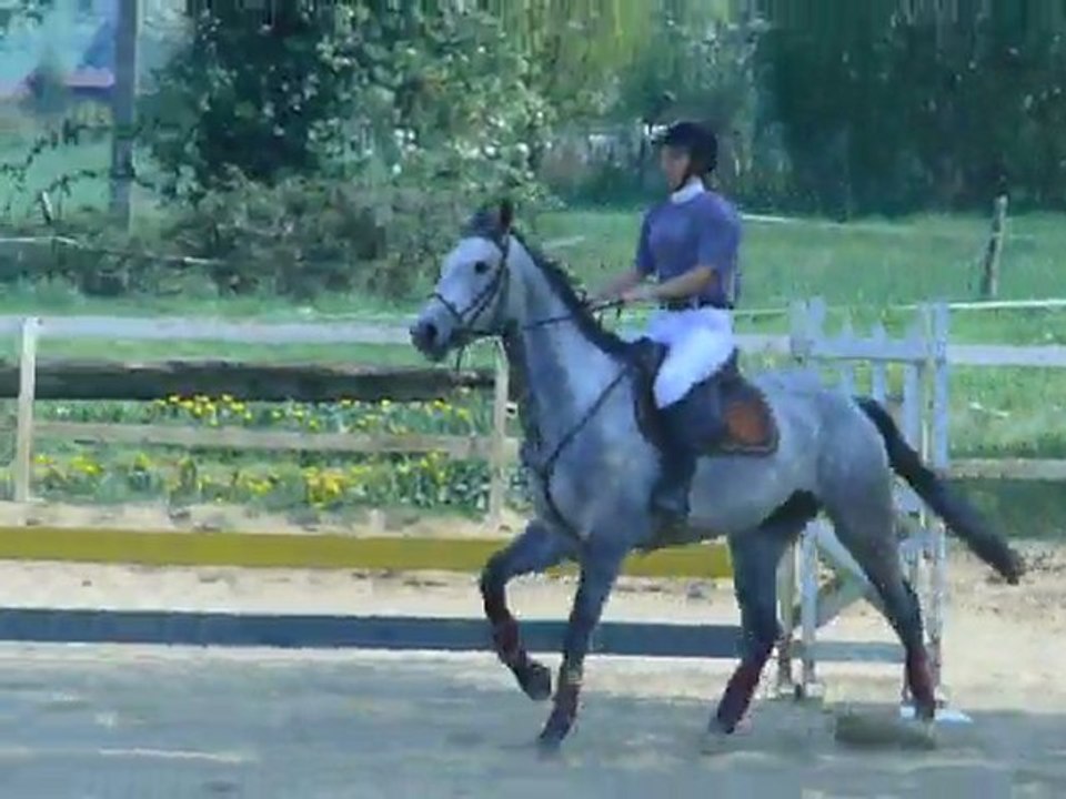 Chalenge interne CSO, le 17 avril 2011. Saké de Condé ♥