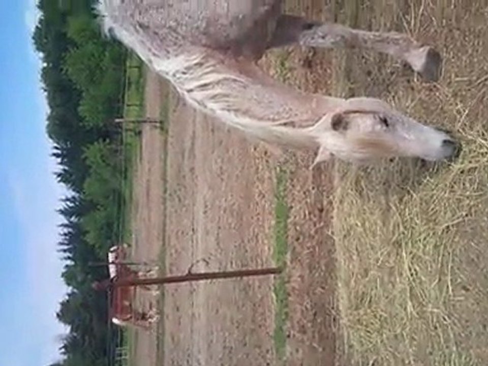 Sony, débourrage 1er essai