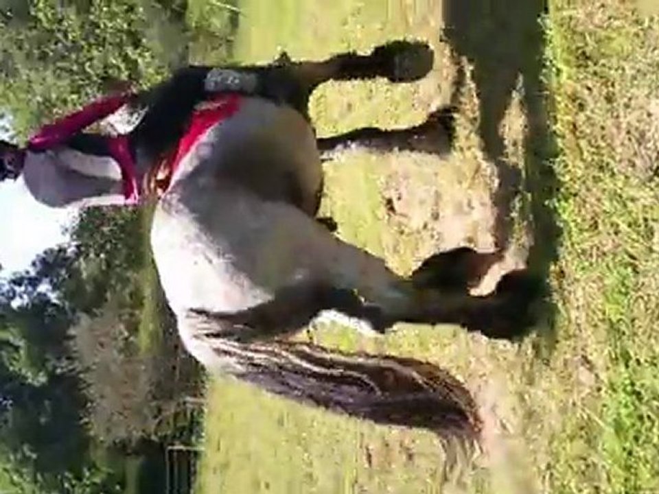 Sony, débourrage 1er essai