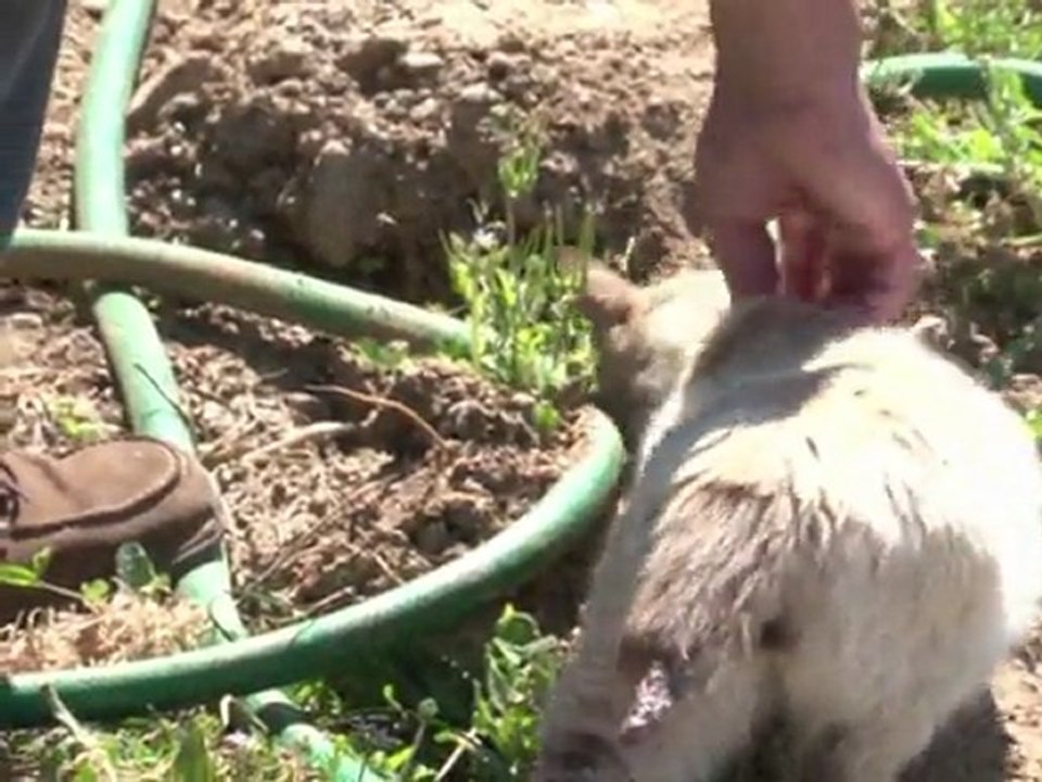 Euro-krise: portugiesen müssen gürtel enger schnallen