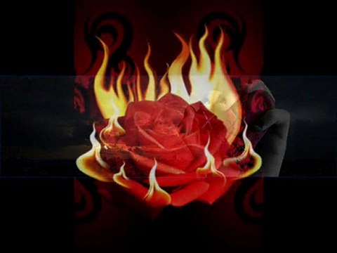 güneyli-al ömrümü (yorum)