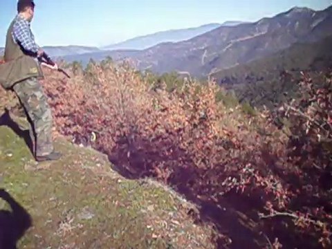 Mex Ferma avyaban.com - ergo