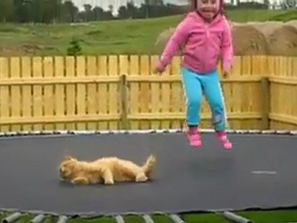 Une petite fille et un chat sur un trampoline