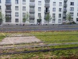 gazon du tramway