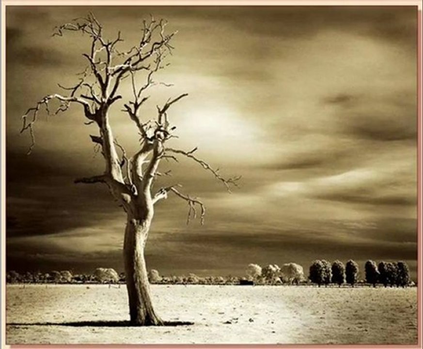 hafız menduh-şeyh alaauddin haznevi (k.s) kasidesi