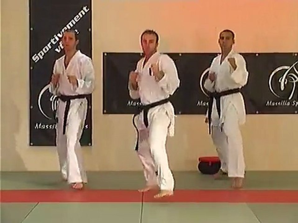 Technique de karaté
