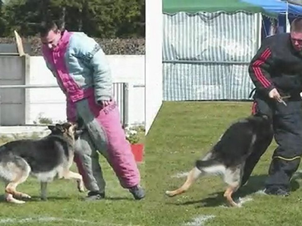 Calam 1er Sélectif 2011