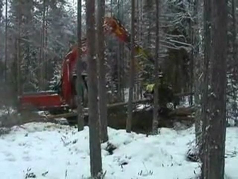 Orman işçilerinin Korkulu Rüyası (AFM Harvesters)