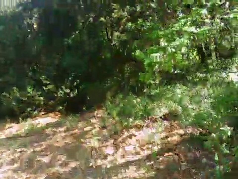 vtt 18 avril fab et virage raté