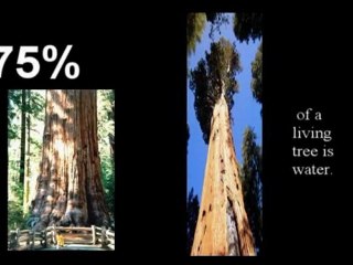 Interesting Facts About Water