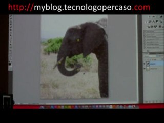 Adobe Creative Suite 5: guarda il video con le istruzioni "IMMAGINI"