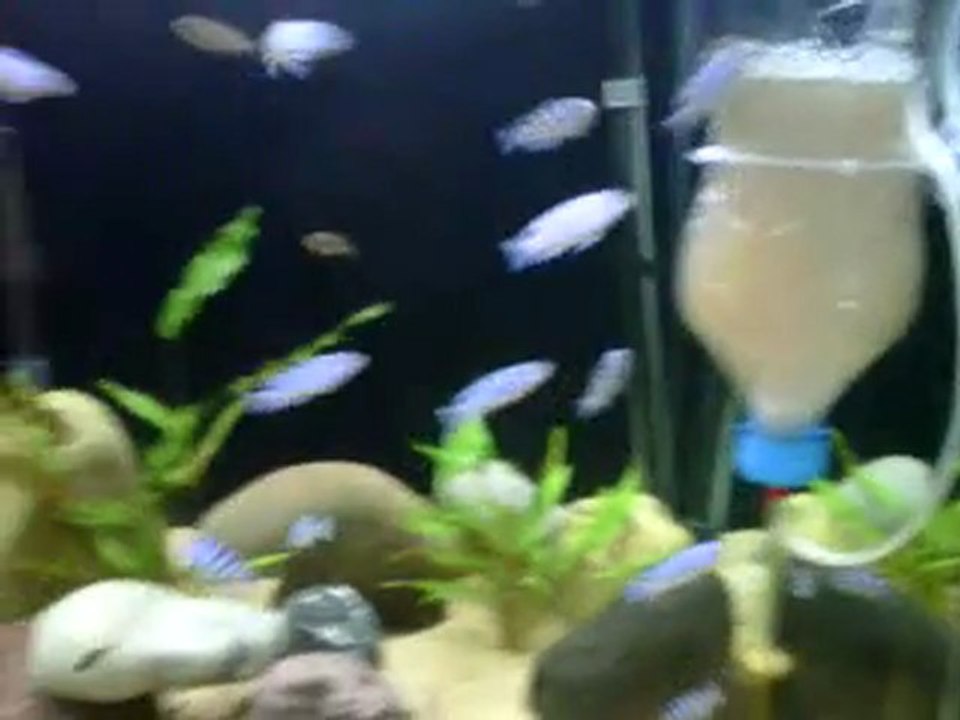 VID 00005-20110417-1635