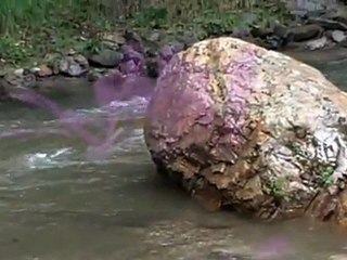 Robert Lauri - Personne n'est à personne