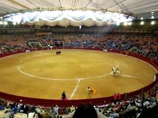 Corrida concours à Zaragoza