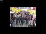 Flash Mob Castorama Blagnac Officiel 2010