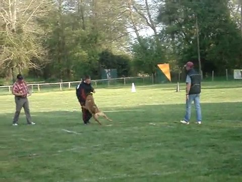 ring selectif mouroux 2011 069