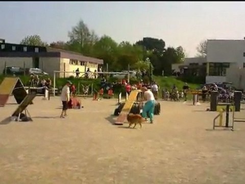 Annie et Celti concours Le Relecq Kerhuon 2011