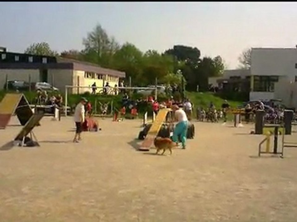 Annie et Celti concours Le Relecq Kerhuon 2011