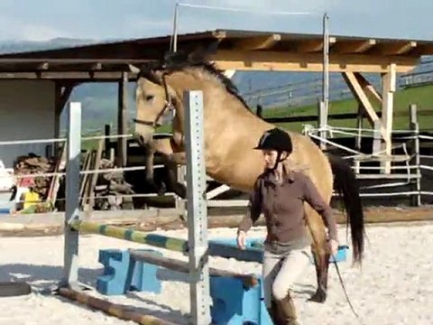 Tempête: ses débuts à l'obstacle