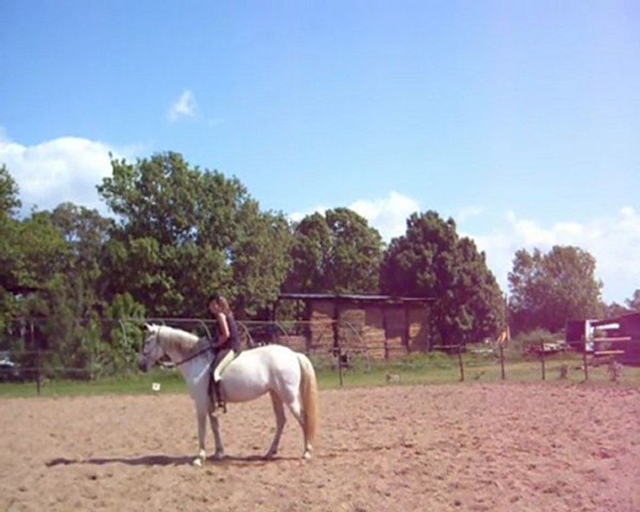 Video3