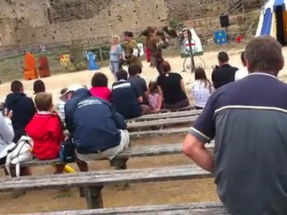 les aigle du chateaux de talmont saint hilaire