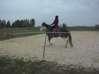 Solène et HASTA LUEGO, cheval Criollo Argentin.  SDC10537