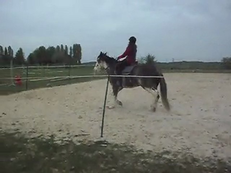 Solène et HASTA LUEGO, cheval Criollo Argentin.  SDC10537