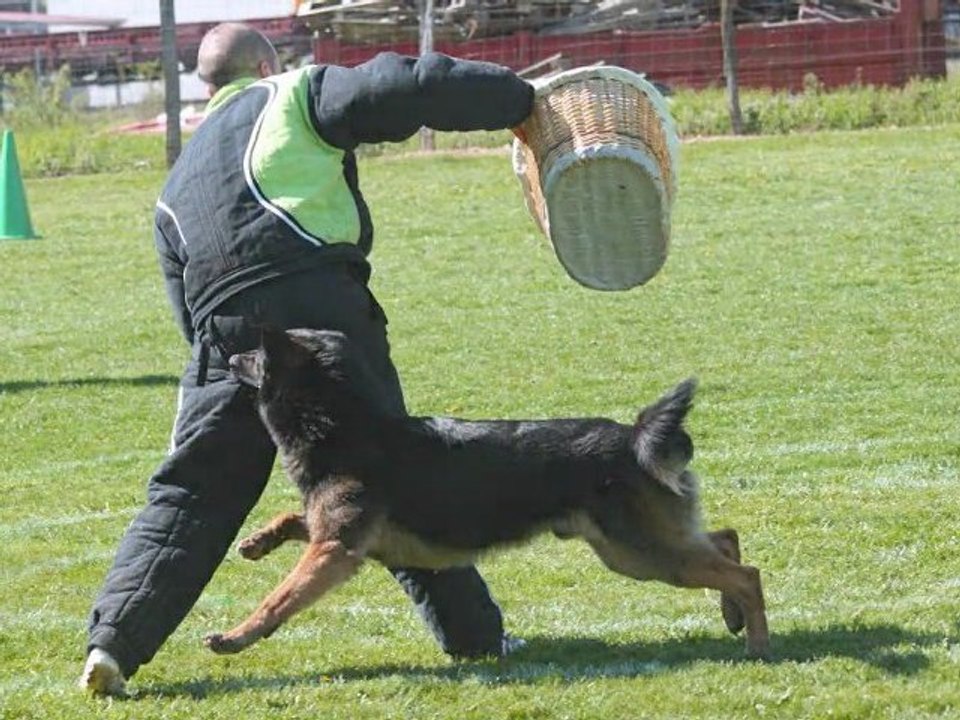 Ahrounn 1er Sélectif 2011