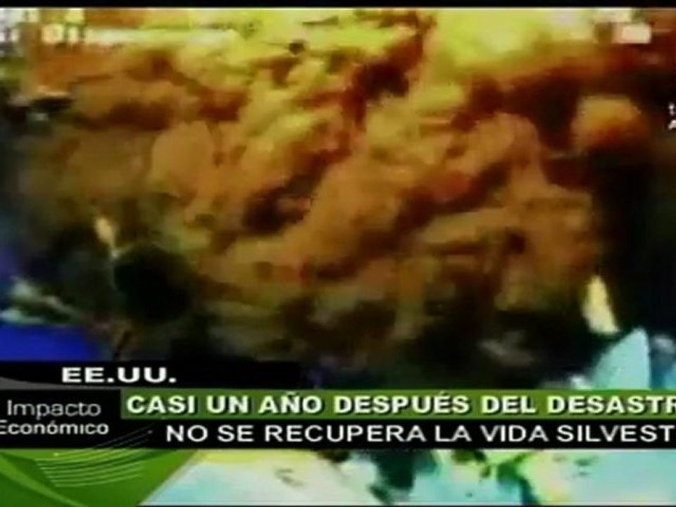 Graves daños ecológicos, a un año del derrame de BP