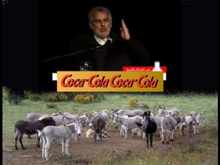 ben-kiran le fayot de service