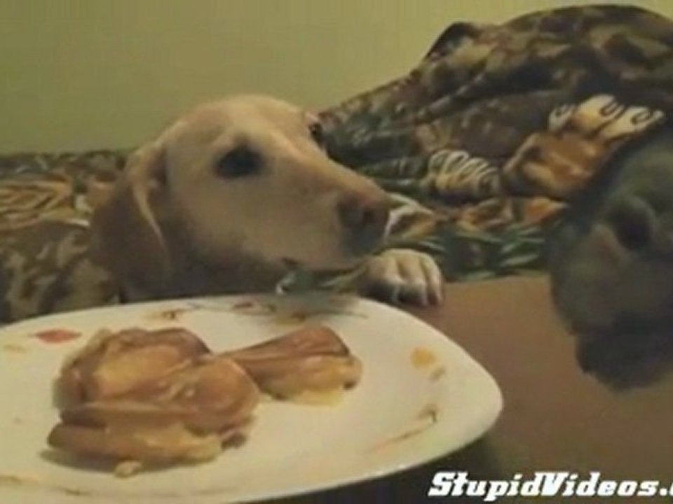 Dont Touch My Grilled Cheese