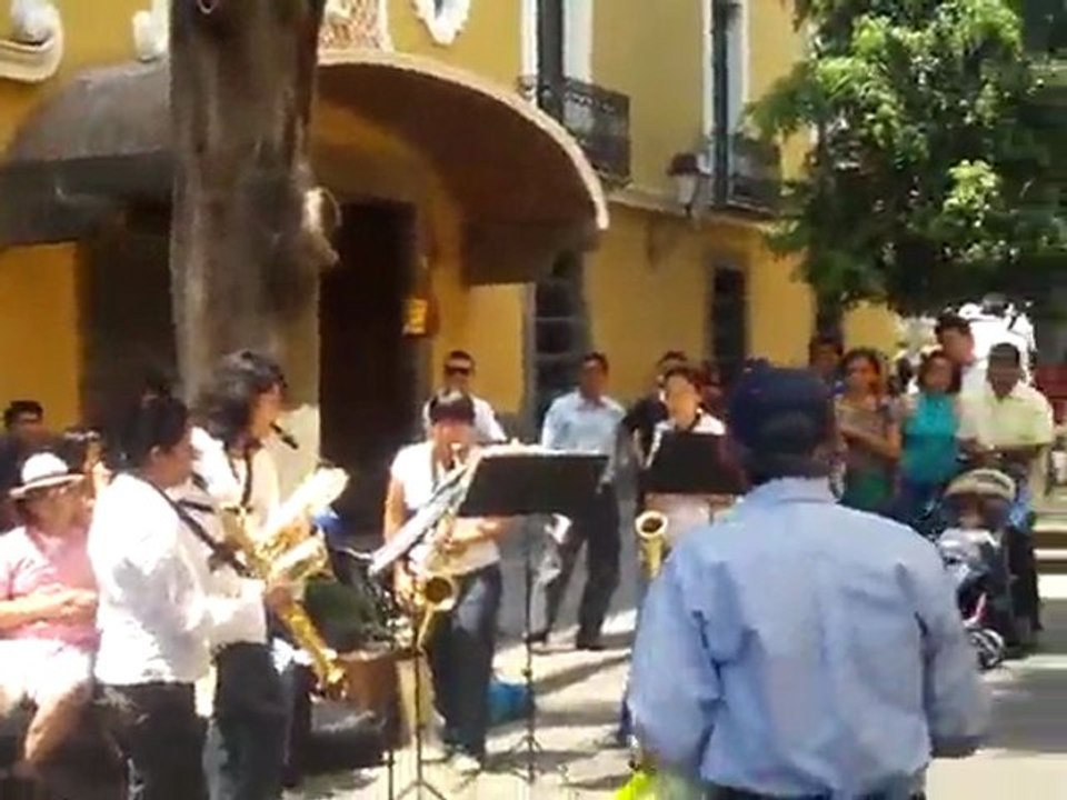 puebla 8