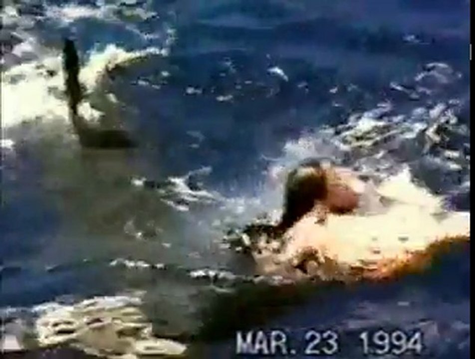 Shark Attack