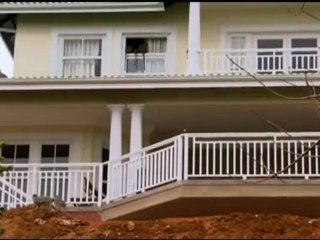 Curious Monkey Overdoses On Medicine