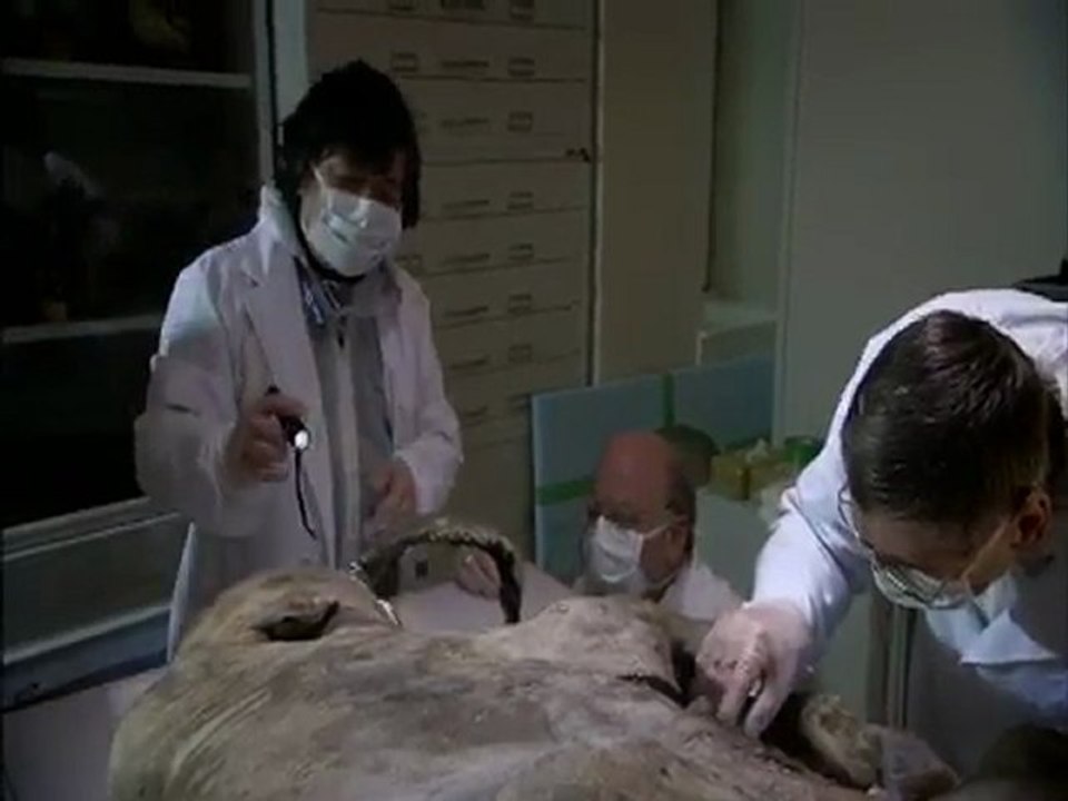 Ice Age Mystery