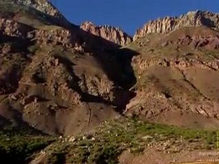Sea fossils found in the mountains