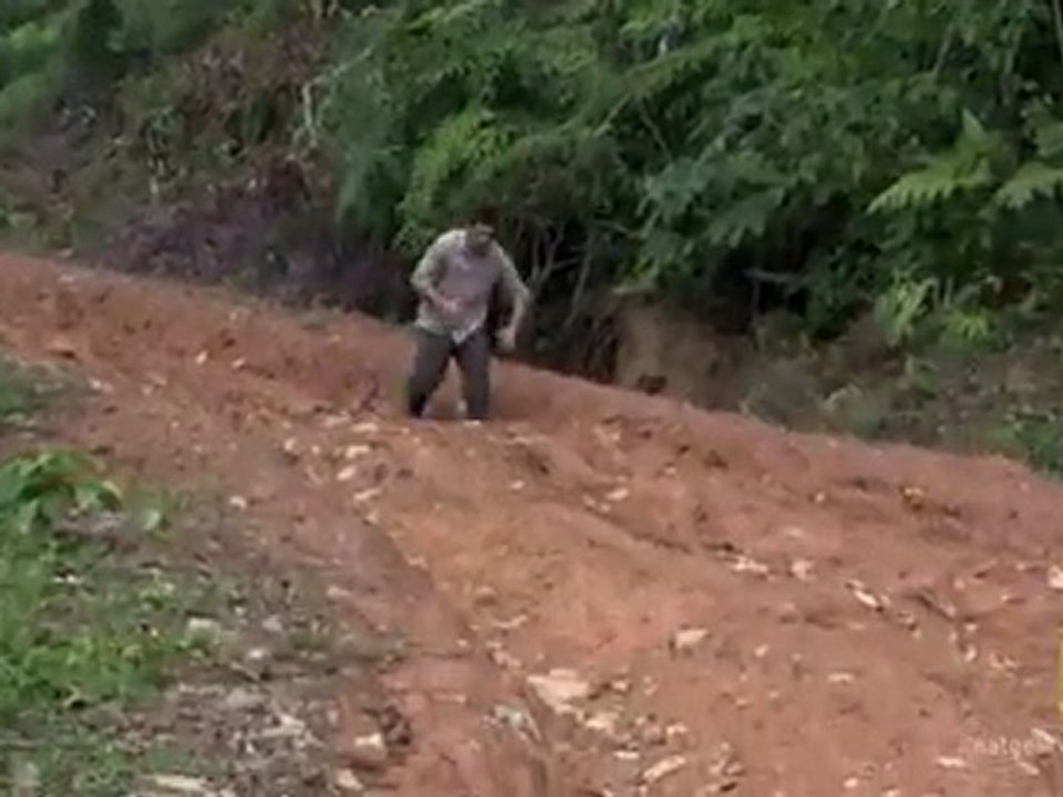 Driving Through the Jungle