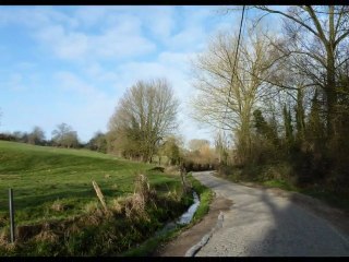 année 2011 - mois de mars - nº 13