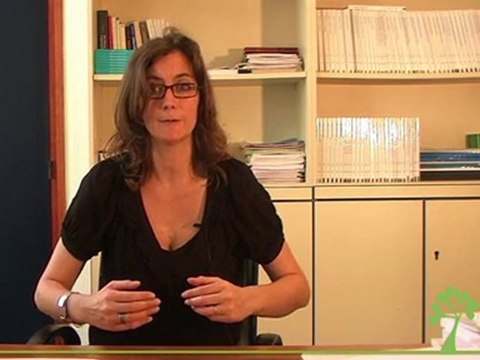 Hausse des taux de la BCE, causes et conséquences - Une mission de stabilité financière ?