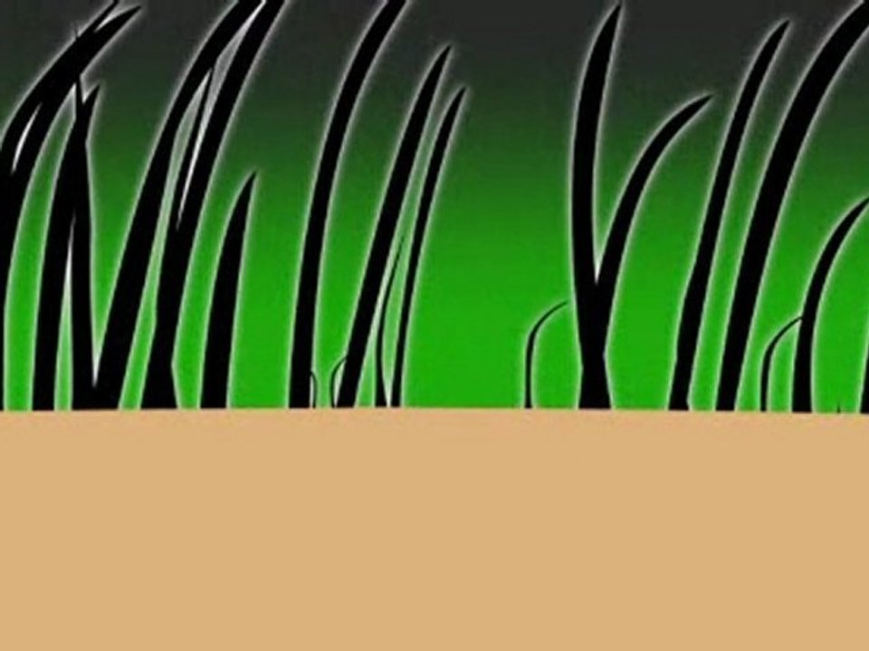 Hair Loss Treatment using Leimo