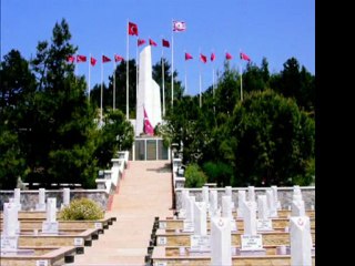 Kıbrıs Türküsü-Yazın Çiçeği Gül'dür