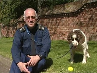 Sniffer dogs help police ahead of Royal wedding