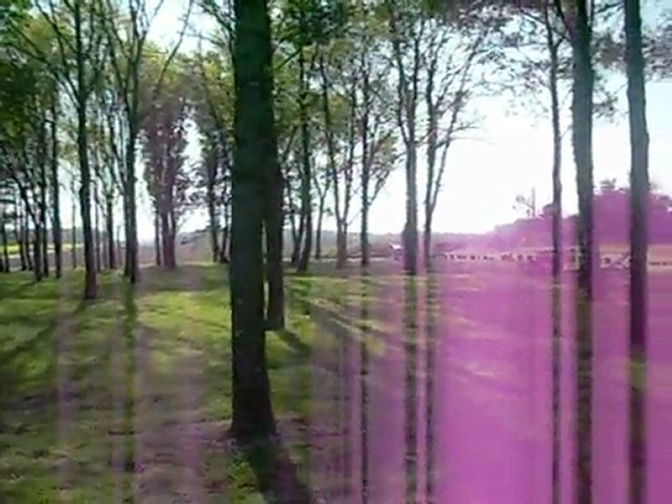 17/04/2011 Anniv Stef - Permis Mimi - Voiture BB et 3 ans Greffe Zouzouille