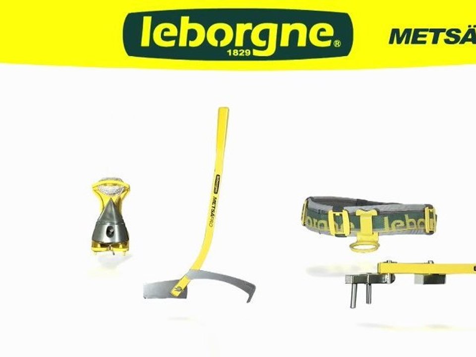 Leborgne