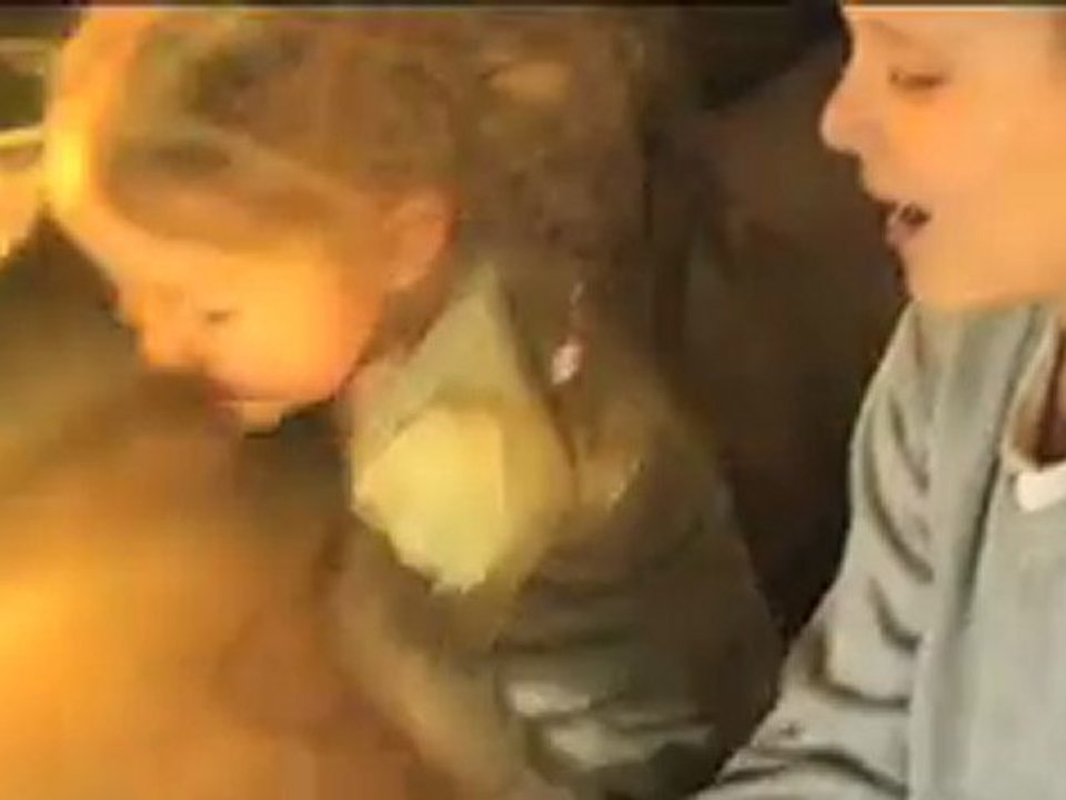 Vivez une expérience magique en famille avec le Monde de Narnia: l'Odyssée du Passeur d'Aurore le 27 avril