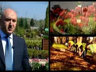 2011 İstanbul Lale Festivali