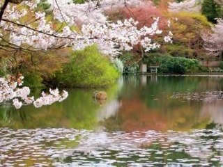 Някога ,но не  сега