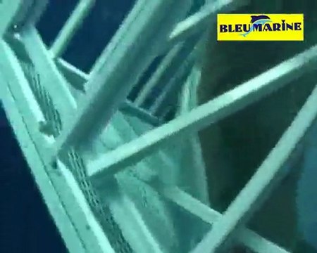 Radio Bleu Marine en direct de Lomener du 20 au 30 01 TEaser 2 la radio qui défonce tout sur son passage